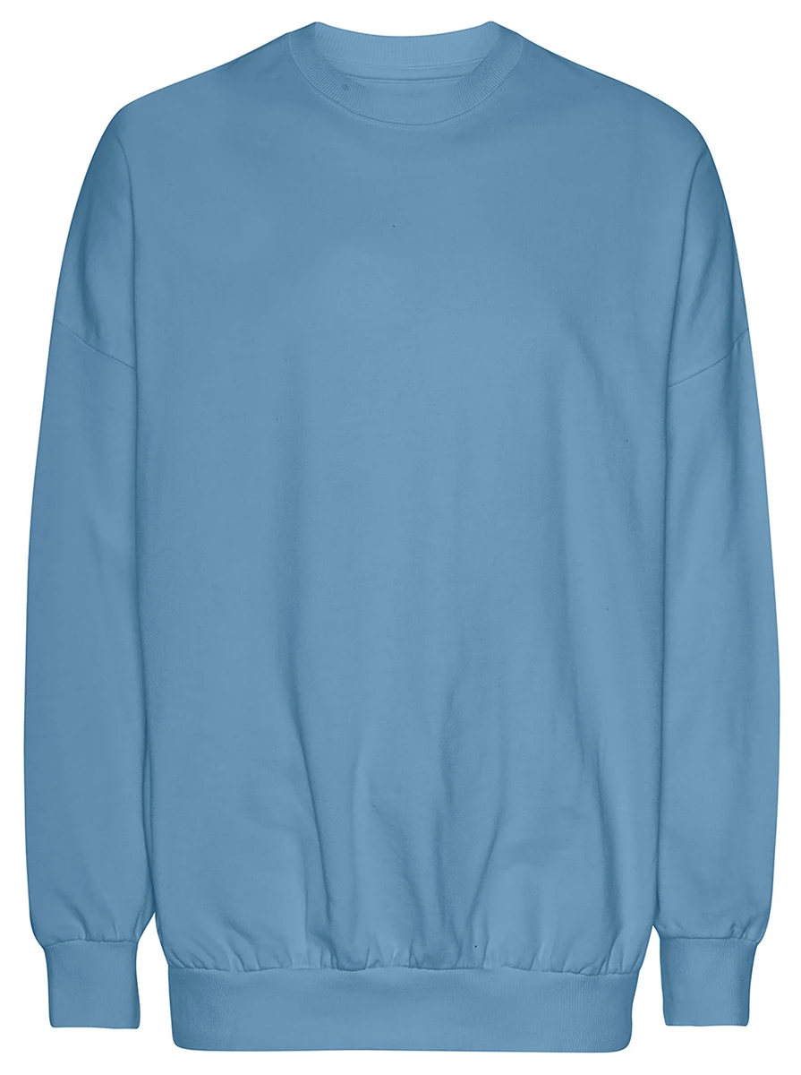 Neutral Oversized Tiger Cotton Sweatshirt