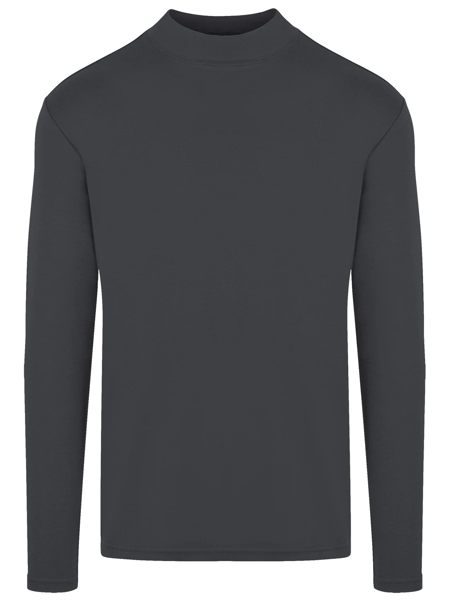 HRM Mens Premium Highneck Longsleeve