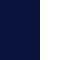 navy / white