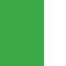 apple green / white