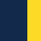 navy / yellow