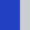 royal / silver