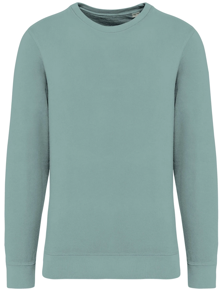 Native Spirit Unisex Sweatshirt