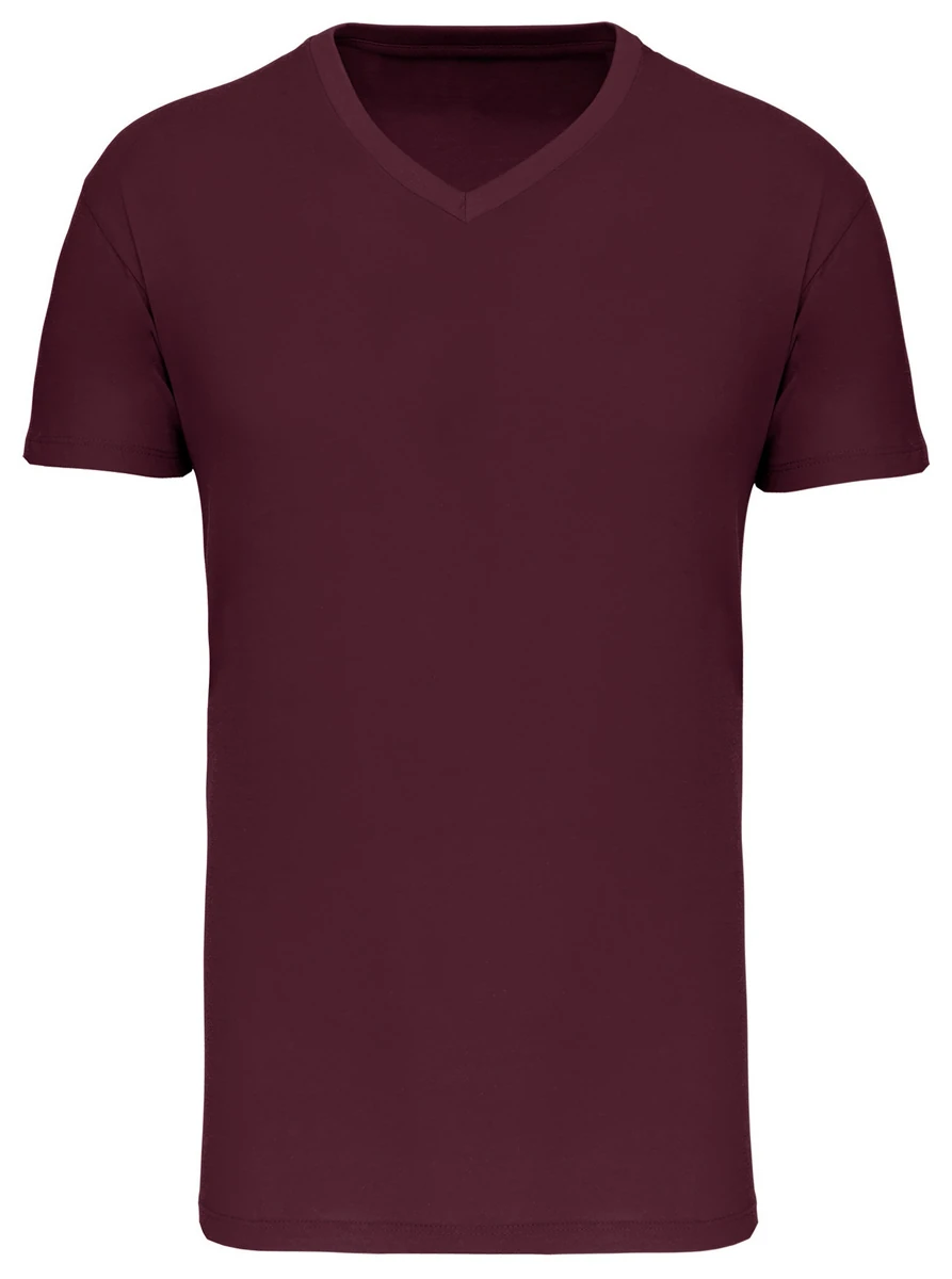 Kariban Organic V-Neck T-Shirt 150 IC